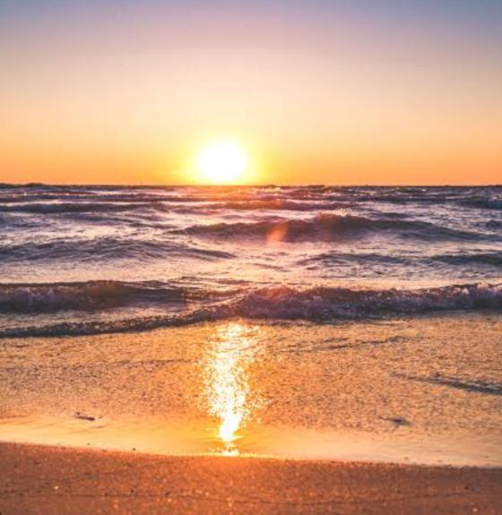 Marari La Rose Beach Homestay Марарикулам Экстерьер фото