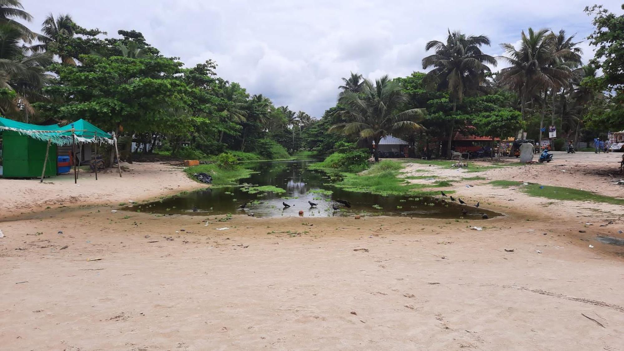 Marari La Rose Beach Homestay Марарикулам Экстерьер фото
